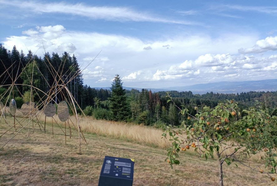 Arboretum de Charvols, Malvières, France, France